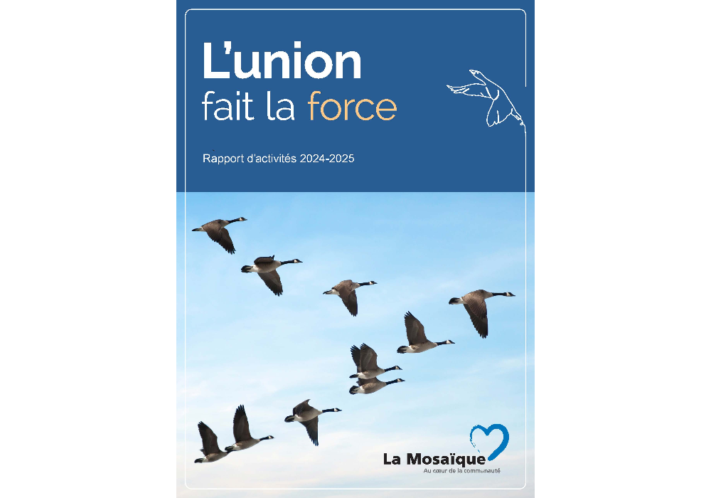 Rapport d&rsquo;activit&eacute;s 2024-2025